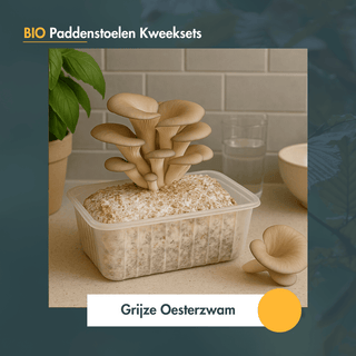 Paddenstoelen