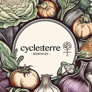 Cycle en Terre
