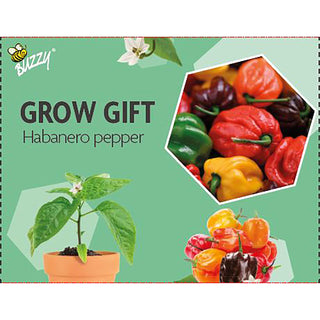 Regalo de cultivo de pimiento picante