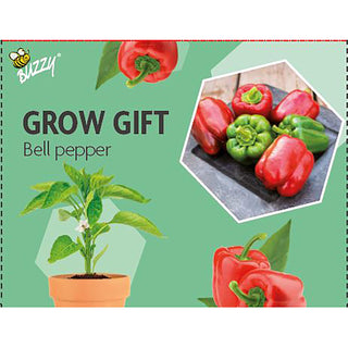 Regalo de cultivo de pimiento