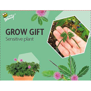 Regalo de cultivo de no me toques