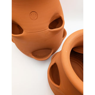 Maceta para fresas de terracota