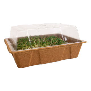 Invernadero + kit de cultivo ECO (3)