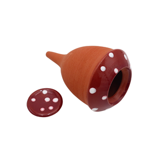 Olla Hongo 'Boleet'