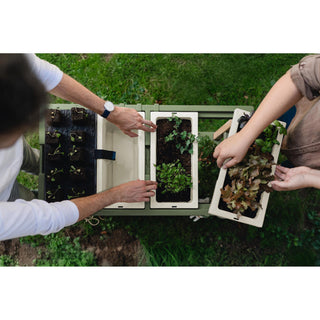 GROWbench Mesas de cultivo
