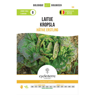 Lechuga de cogollo temprana