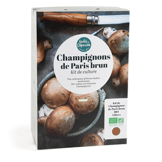 Champiñones marrones BIO