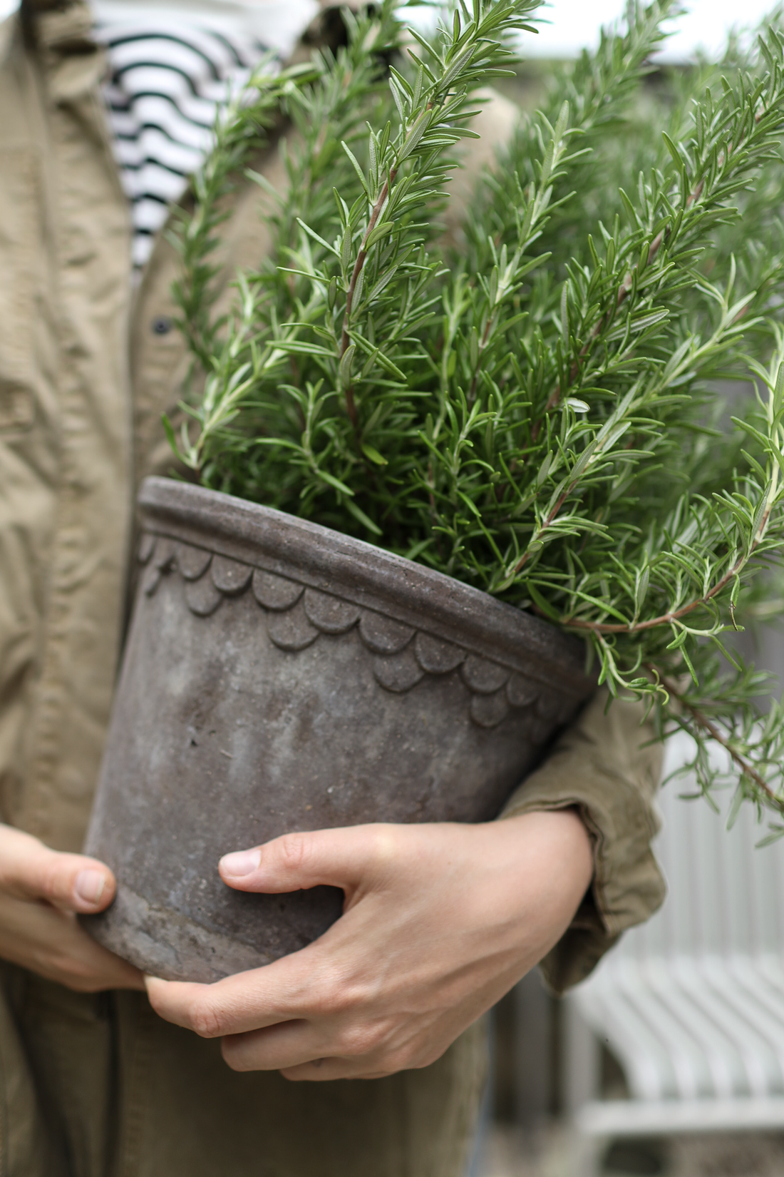 Conserva los sabores de tu huerto