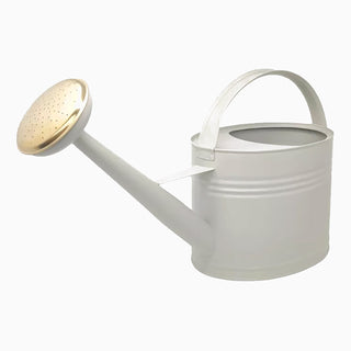 Regadera de diseño 5L