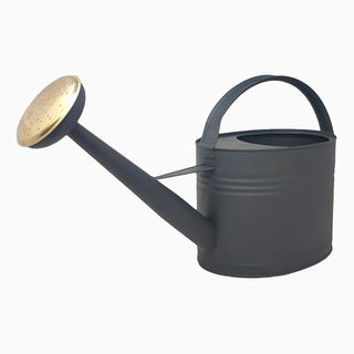 Regadera de diseño 5L