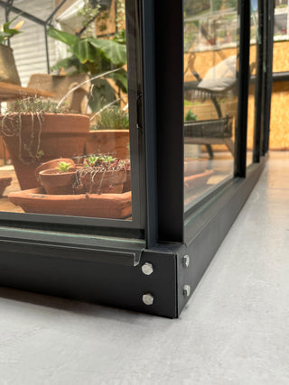 Allium 2.5