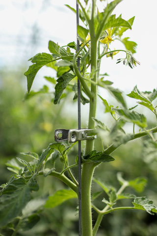 Clips metálicos para plantas (12)