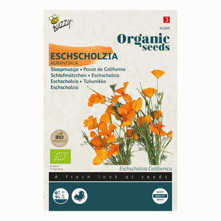 Amapola de California Aurantiaca