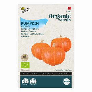Calabaza Amoro