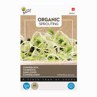 Germinados de berro de girasol