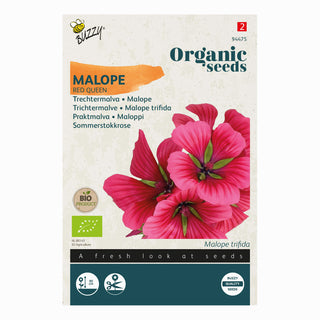 Malva embudo Red Queen
