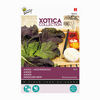 Xotica amsoi rojo