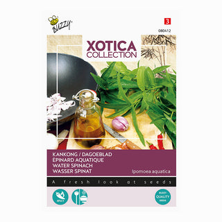 Xotica kangkong