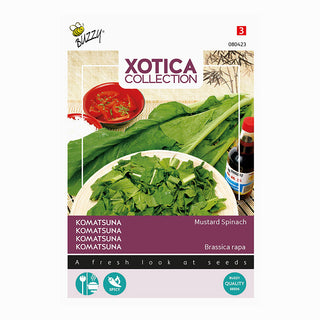 Xotica Komatsuna  'Espinaca de mostaza'
