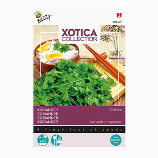 Xotica Cilantro