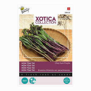 Xotica Choy Sum morado 'Hon Tsai Tai'