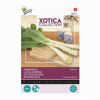Xotica Lechuga espárrago