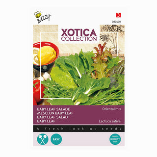 Xotica Mezcla de ensalada 'Oriental Mix'