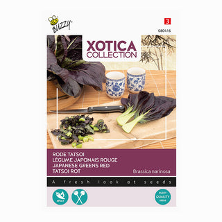 Xotica Tatsoi rojo