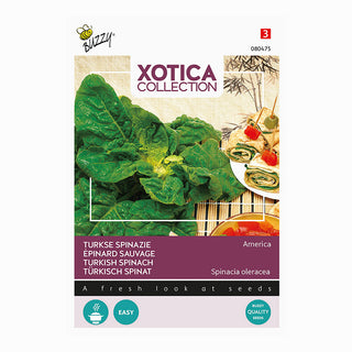 Xotica Espinaca turca