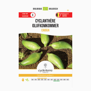 Pepino aceituna 'Cyclanthera Caigua'