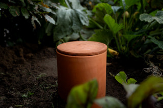 Vermicompostera XL