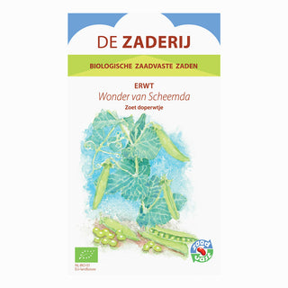 Guisante 'Het Wonder van Scheemda'