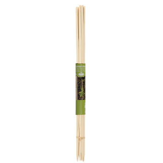 Steunstokken Bamboe 50cm (20) - Esschert Design