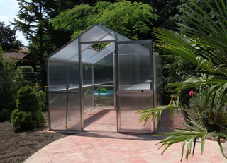 Iris III
