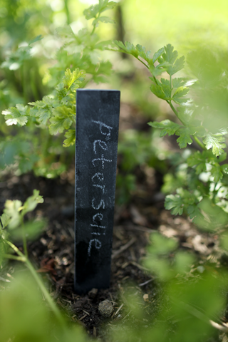 Herbruikbare plantensteker van natuurleisteen