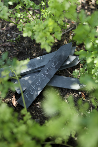 Leisteen platen label bij peterselie