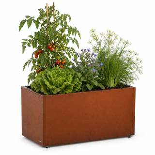 Moestuinbak Corten 50