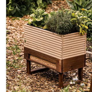 Mesa de cultivo + hotel de insectos M