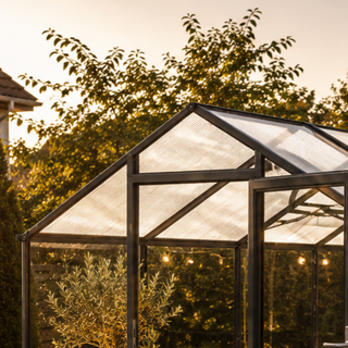 Ortasia III