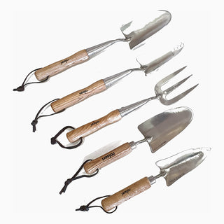 Set Premium de acero inoxidable
