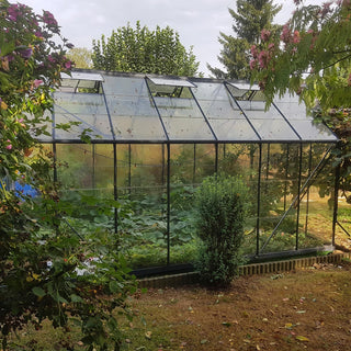 Laurus 11.3