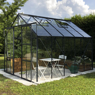 Laurus 8.1