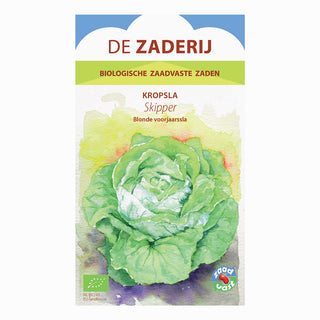 Lechuga cogollo 'Skipper'