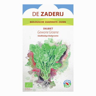 Acelga 'Gewone groene'