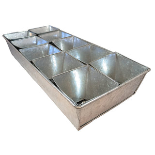 Bandeja de siembra ECO de zinc (10)