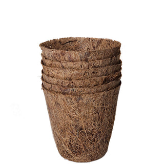 Macetas de cultivo de coco 6cm redondas (6)