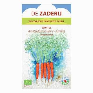 Zanahoria de verano 'Amsterdamse Bak 2 - Amfine'