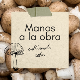 Promo ES 1