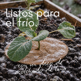Promo ES 4