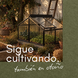 Promo ES 6